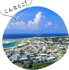 与那国島を知る｜与那国島ってどんなところ？