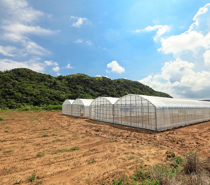 移住して苦労したこと