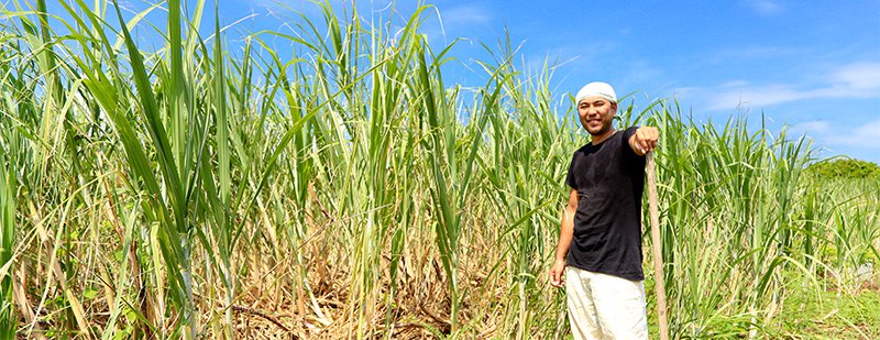 与那国島で暮らす